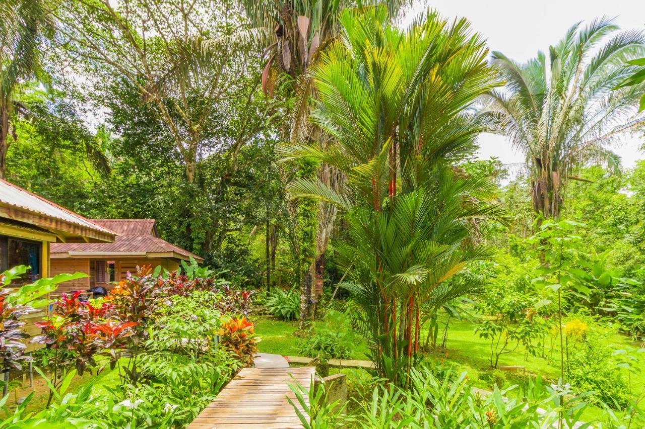 Hotel El Mono Feliz Ojochal Eksteriør bilde