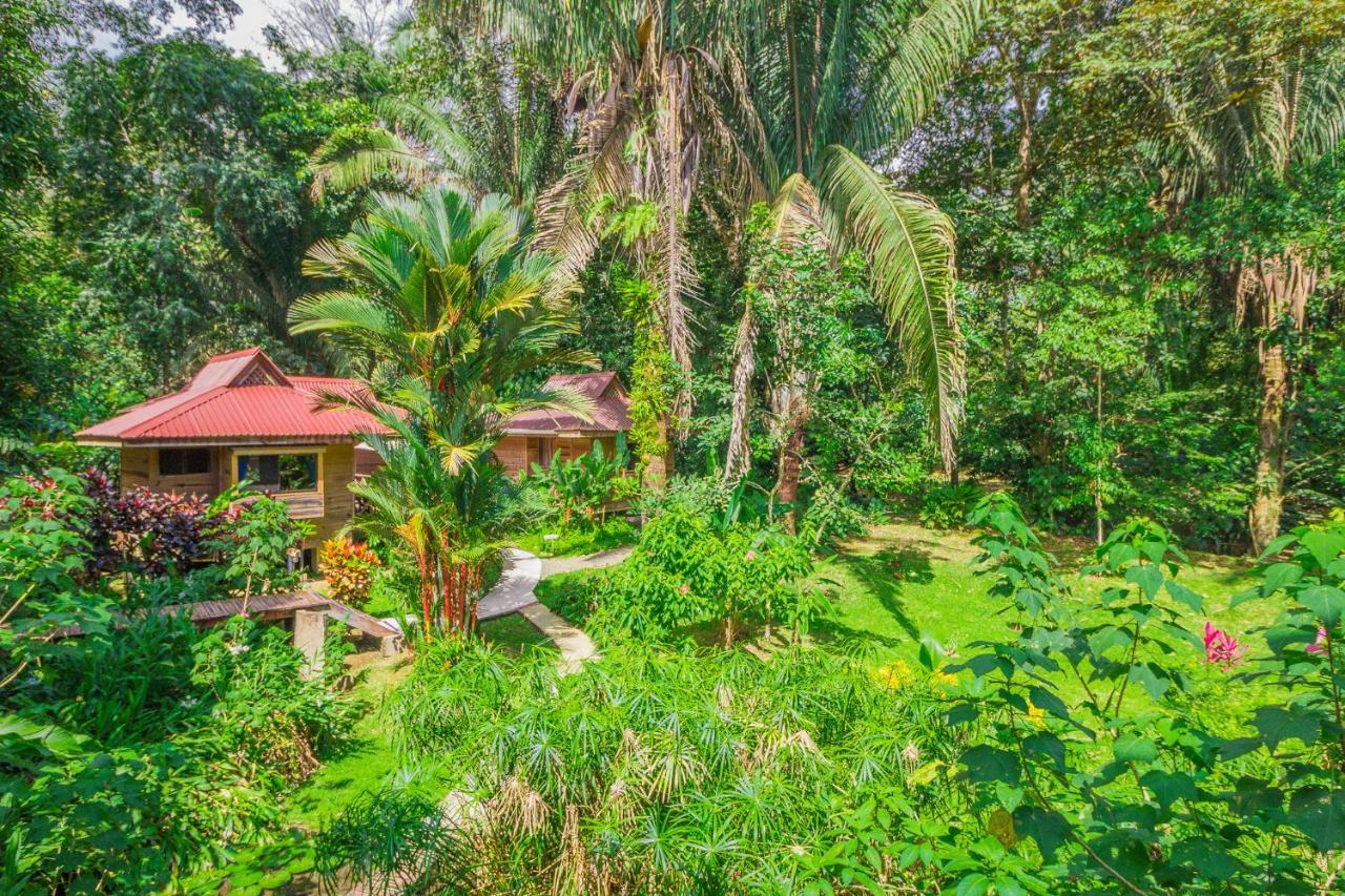 Hotel El Mono Feliz Ojochal Eksteriør bilde