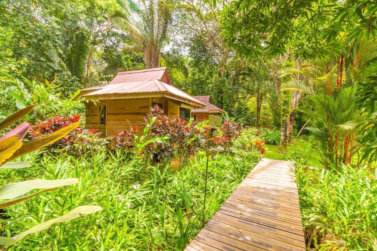 Hotel El Mono Feliz Ojochal Eksteriør bilde